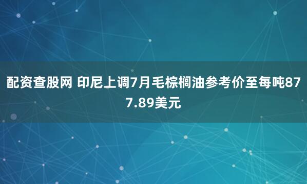 配资查股网 印尼上调7月毛棕榈油参考价至每吨877.89美元