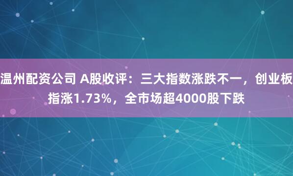 温州配资公司 A股收评：三大指数涨跌不一，创业板指涨1.73%，全市场超4000股下跌