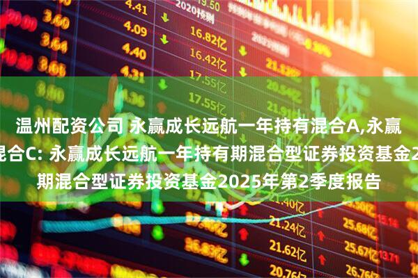 温州配资公司 永赢成长远航一年持有混合A,永赢成长远航一年持有混合C: 永赢成长远航一年持有期混合型证券投资基金2025年第2季度报告